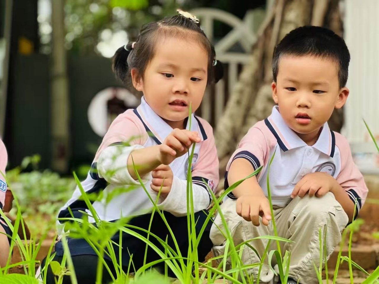 學(xué)前有法 善育有規(guī)——?？谑猩礁哂變簣@2025年學(xué)前教育宣傳月啟動(dòng)儀式暨《學(xué)前教育法》專(zhuān)題學(xué)習(xí)活動(dòng)-圖片28