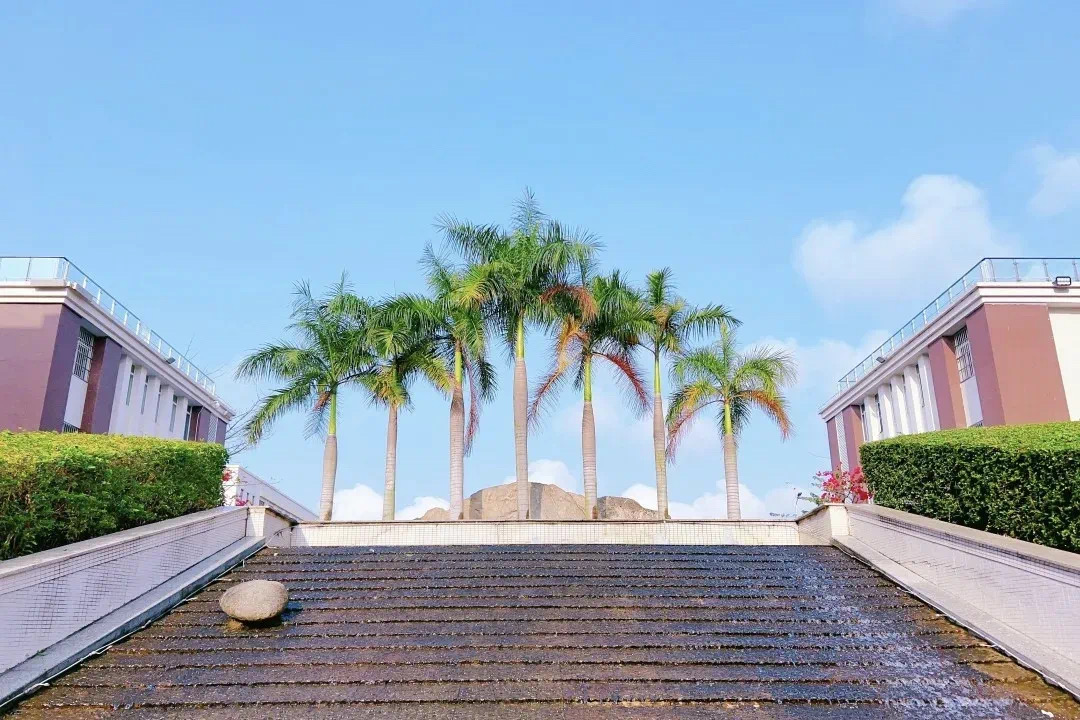 青春赴新途   山高啟華章  |  ?？谏礁吒呒墝嶒炛袑W高一新生報到記-圖片8