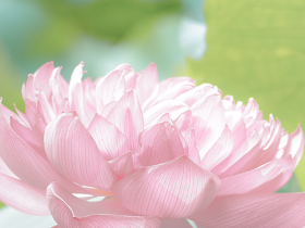 成長在山高，不負(fù)好時(shí)光‖?？谏礁咧袑W(xué)學(xué)生優(yōu)秀習(xí)作展示（第二十四期）