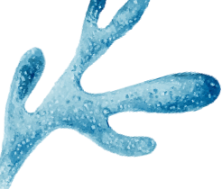 德育之窗丨海口山高學(xué)校2025年秋師德師風(fēng)暨班主任培訓(xùn)順利開展