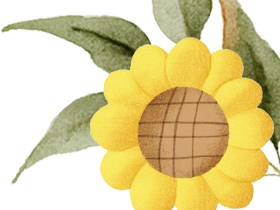 超燃！?？谏礁邔W(xué)校各年級常規(guī)訓(xùn)練“名場面”來襲！