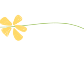 小小路隊長 擔(dān)當(dāng)大責(zé)任——?？谏礁邔W(xué)校2025年秋季路隊長專題培訓(xùn) !