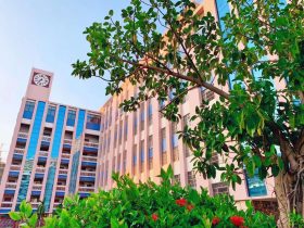 【國培計(jì)劃2025】聚焦數(shù)字化創(chuàng)新，打造智慧化課堂——海南省中小學(xué)教育集團(tuán)數(shù)字化轉(zhuǎn)型學(xué)科骨干教師數(shù)字化教學(xué)創(chuàng)新能力提升培訓(xùn)