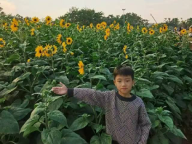 “春暖花開憶清明 習(xí)俗傳承潤(rùn)童心”——定安縣山高學(xué)校小學(xué)部清明節(jié)主題系列活動(dòng)